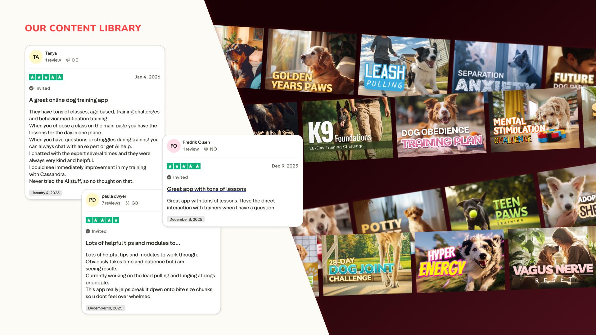 Noble Technology Awards Winner - PawChamp Dog Training & Care gallery