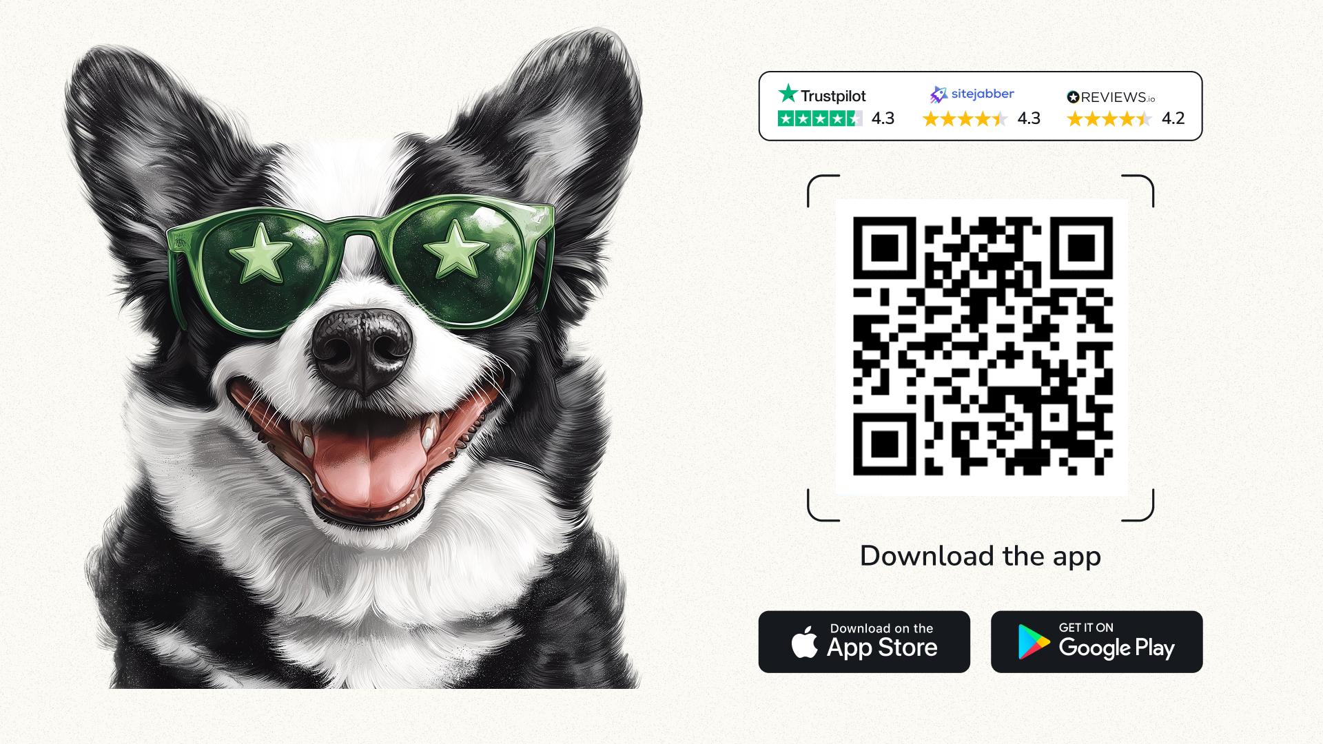 Noble Technology Awards Winner - PawChamp Dog Training & Care gallery