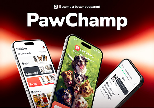 Design Awards Featured Winner - PawChamp Dog Training & Care